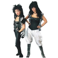 1970s Glam Rockers Hire Costume*