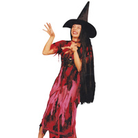 Spider Witch Hire Costume*