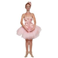 Ballerina - Pink Hire Costume*