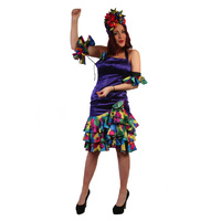 Brazilian Carmen Miranda - Carnivale - Dark Blue Hire Costume*