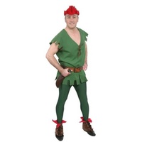 Peter Pan Hire Costume*
