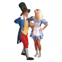 Alice In Wonderland 2 Hire Costume*