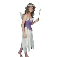 Fairy - Long Hire Costume*