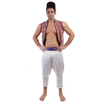 Aladdin Hire Costume*