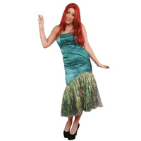 Mermaid 5 Hire Costume*