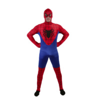 Spider-Man Hire Costume*