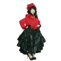 Deluxe Senorita Hire Costume