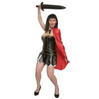 Xena 3 Hire Costume*