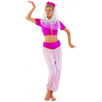 Arabian Princess Womens Costume