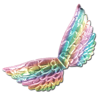 Aura Mini Wings - Rainbow
