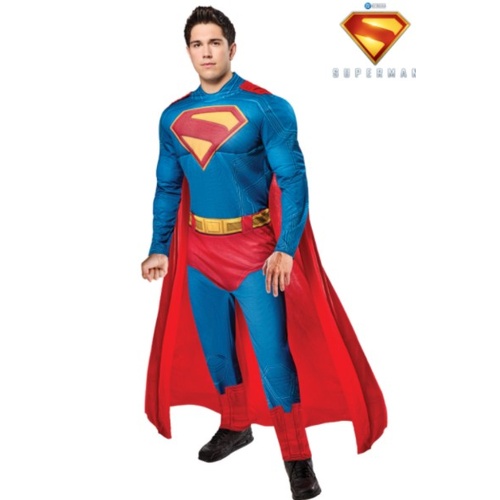 Superman Deluxe 2025 Adult Costume [Size: Large]