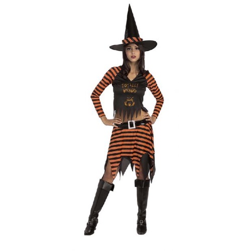 Wicked Witch Teen Girls Costume [Size: 14-16 Years]