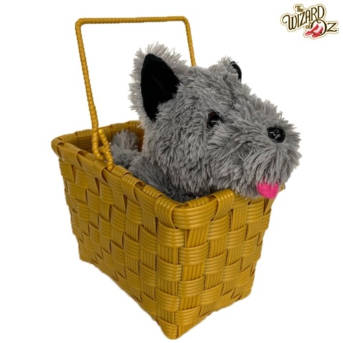 ONLINE ONLY:  Toto in Basket