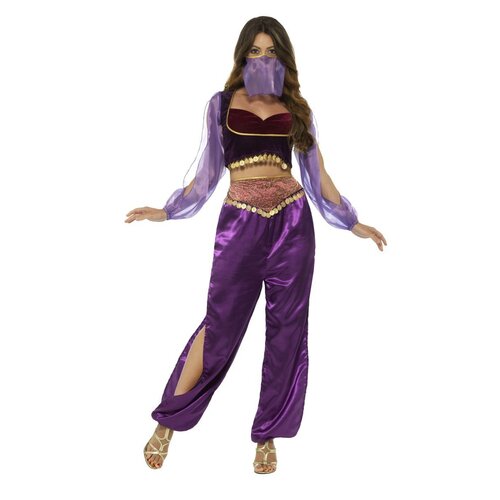 Purple Arabian Princess Women's Costume [Size: M (12-14)]