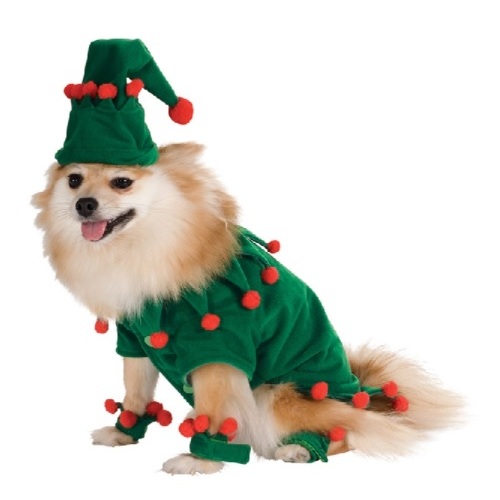 Elf Pet Costume [Size: Small Pet]