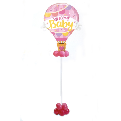 Baby Girl Hot Air Balloons Celebration