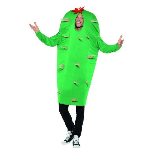Prickly Cactus Adult Costume - One Size