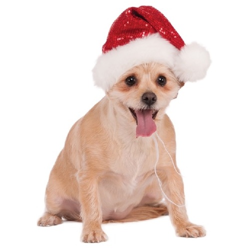 Sequin Santa Pet Hat [Size: M-L Pet]