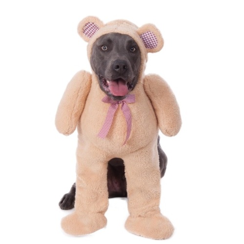 Walking Teddy Bear Big Dogs Costume [Size Xxxl]