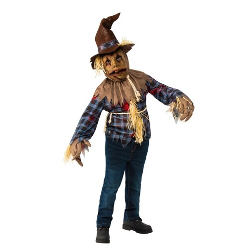 Scarecrow Kid's Costume [Size: M (5-6 Yrs)]