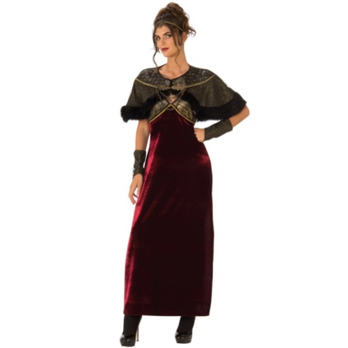 Medieval Warrior Lady Adult Costume [Size: 8-10]