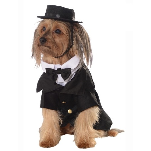 Dapper Dog Pet Costume  [Size: XL Pet]