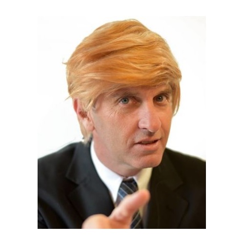 Trump Inspired Wig