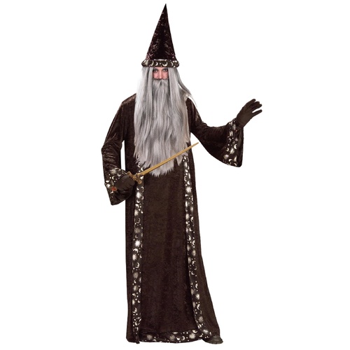 Mr Wizard Adult Costume [Size: Large]