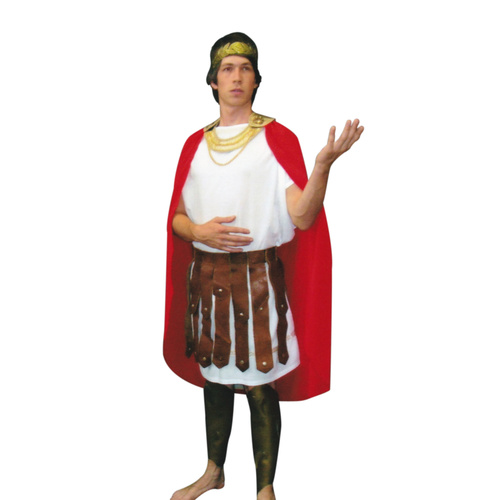 Julius Caesar Hire Costume*