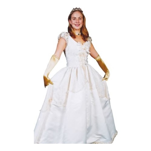 Sleeping Beauty Hire Costume*