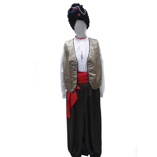 Male Genie 2 Hire Costume*