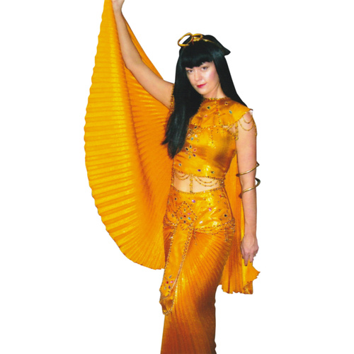Golden Cleopatra Hire Costume*