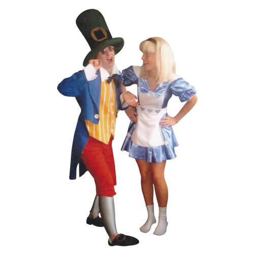 Alice In Wonderland 2 Hire Costume*