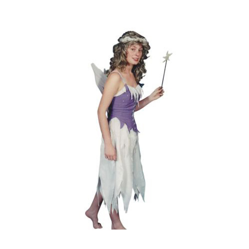 Fairy - Long Hire Costume*