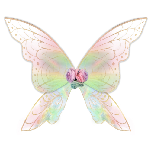 Enchanted Forest Fairy Wings 