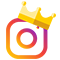 instagram icon